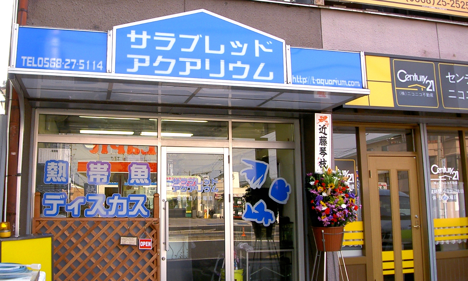 熱帯魚店